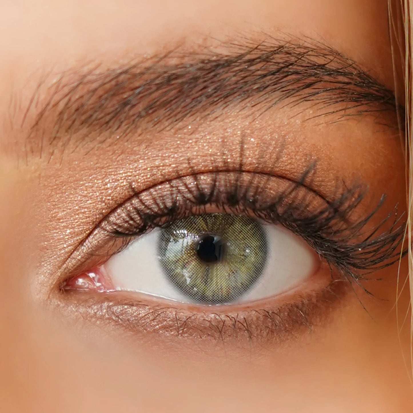KIT OJOS COLOR SOL – INCLUYE 8 PRODUCTOS