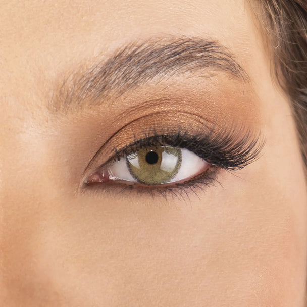 Ladybug - Verde Definido